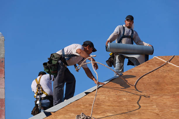 Best Storm Damage Roof Repair  in North Catasauqua, PA